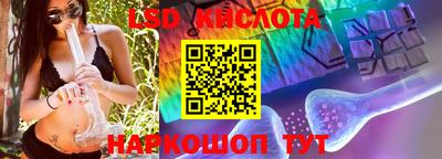 амф Донской