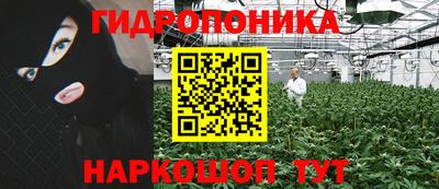 apvp Дубна