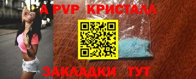 амф Донской