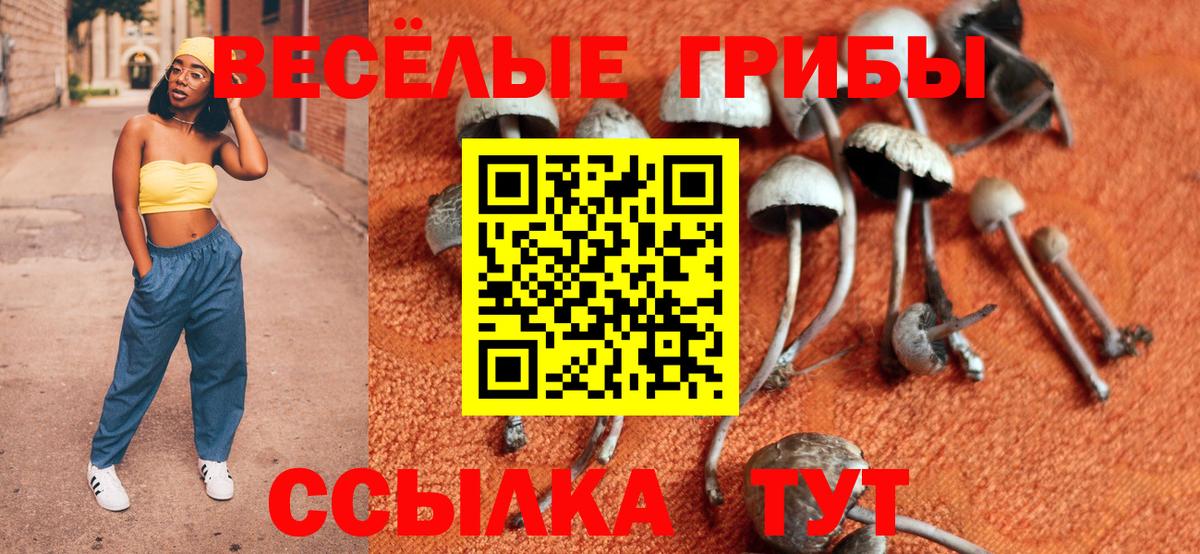Псилоцибиновые грибы Cubensis Донецк